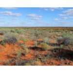 Australian Landscape