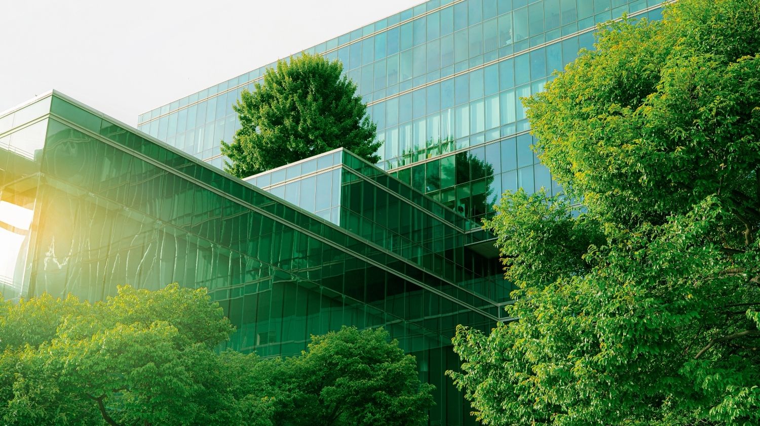 green sustainable building