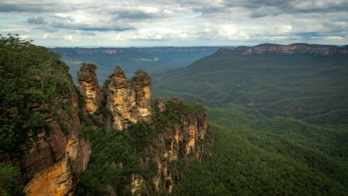 blue mountains national park in summer
