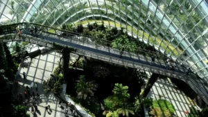 glass buildings with planets and greenery