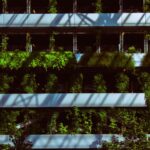 green plants hanging growing on building facade