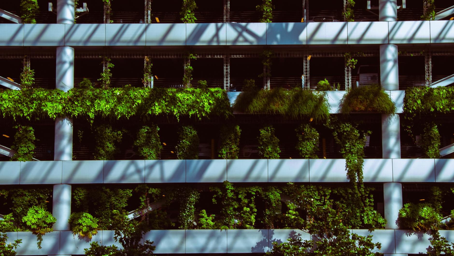 green plants hanging growing on building facade