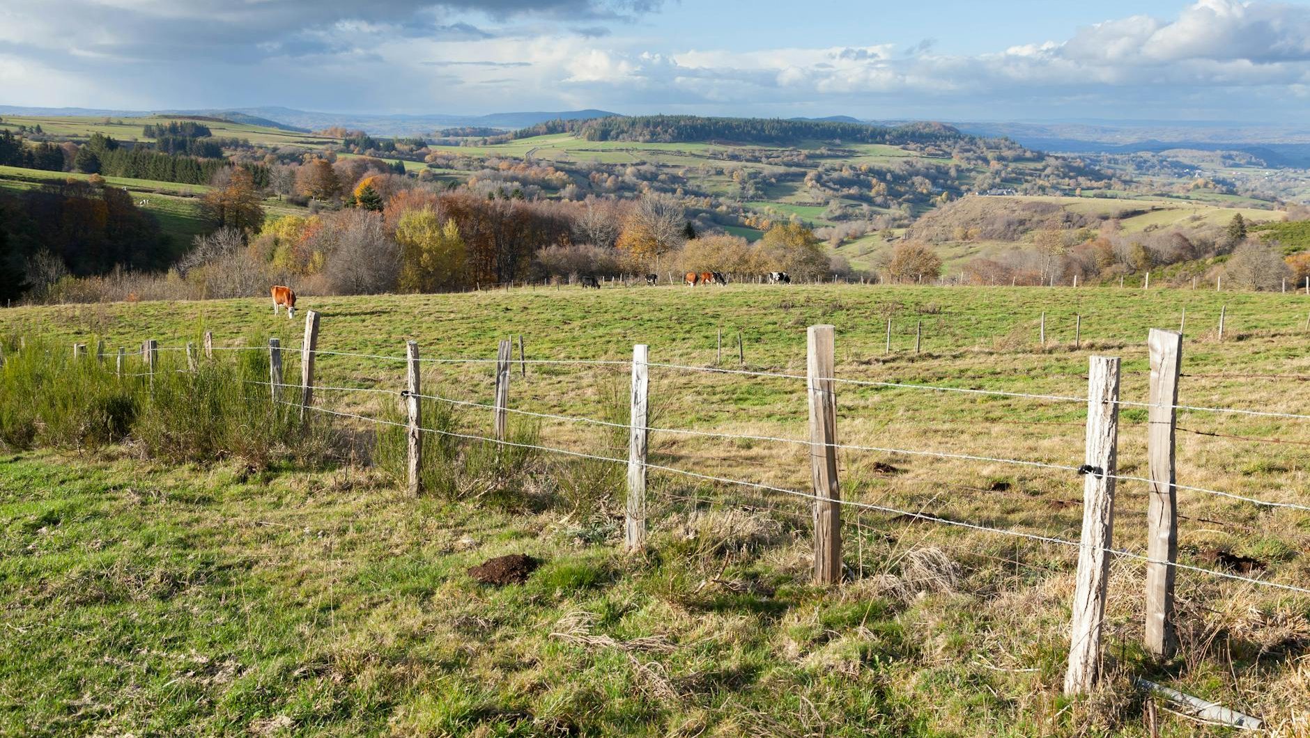 fence and hills