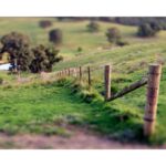 Australian Landscape